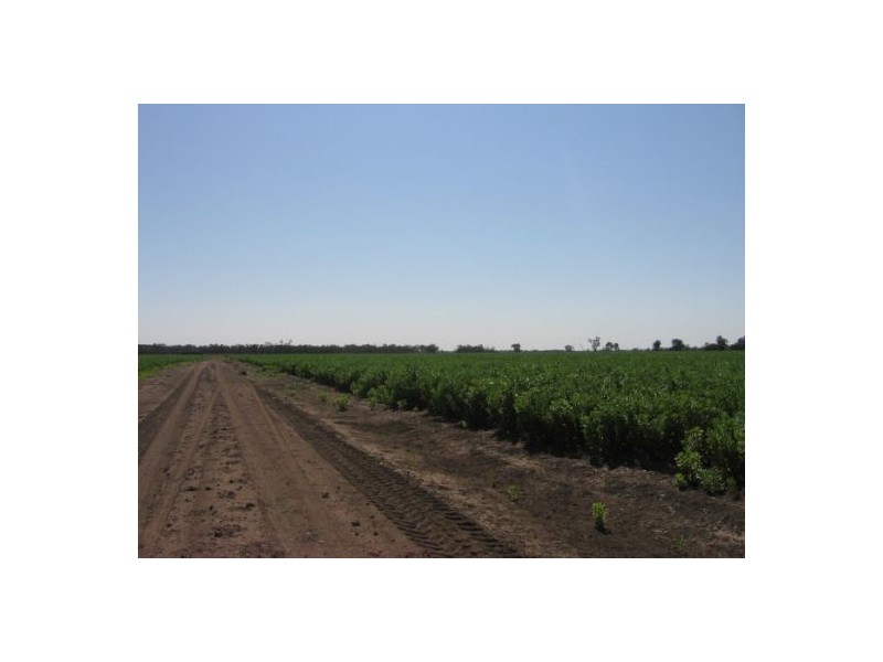 “Broadwater”, Moree NSW 2400