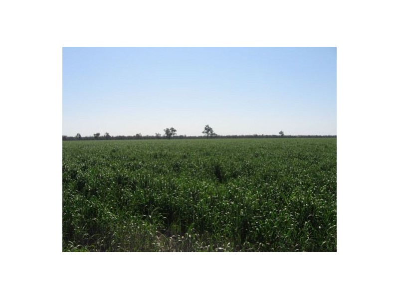 “Broadwater”, Moree NSW 2400