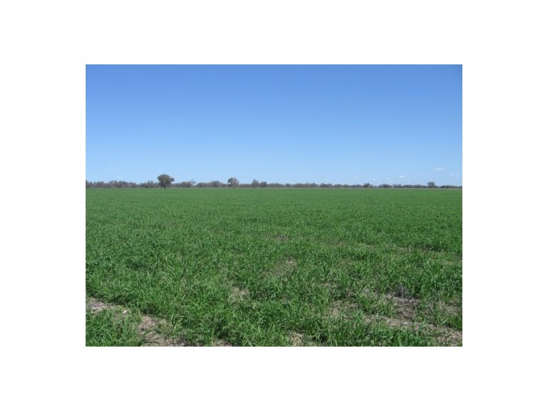 “Broadwater”, Moree NSW 2400