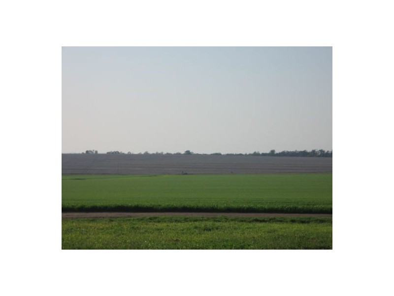 . “Boolavilla Aggregation”, Croppa Creek NSW 2411