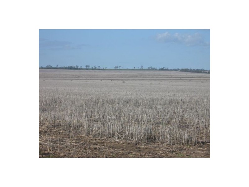 . “Boolavilla Aggregation”, Croppa Creek NSW 2411