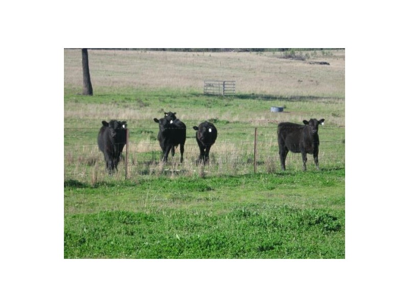 “Rockdale”, Terry Hie Hie NSW 2400