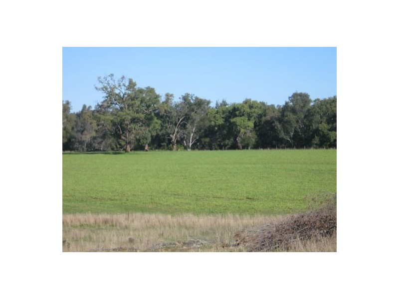 “Rockdale”, Terry Hie Hie NSW 2400