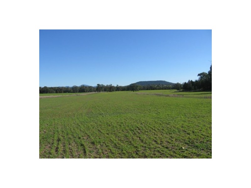 “Rockdale”, Terry Hie Hie NSW 2400