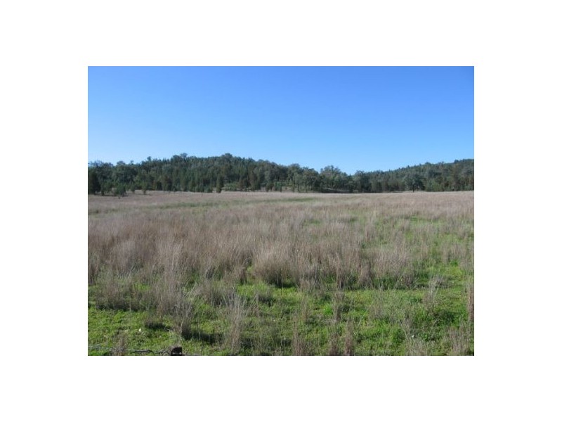 “Rockdale”, Terry Hie Hie NSW 2400