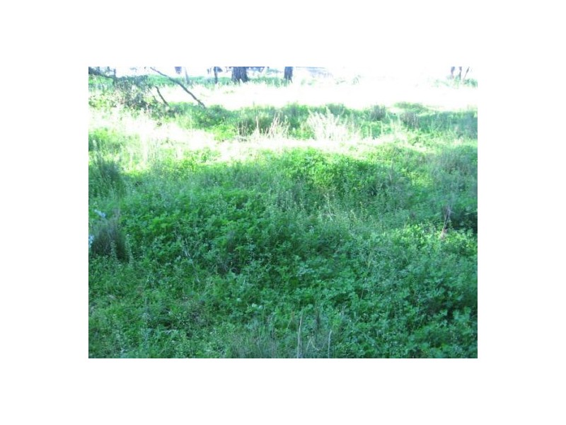 “Rockdale”, Terry Hie Hie NSW 2400