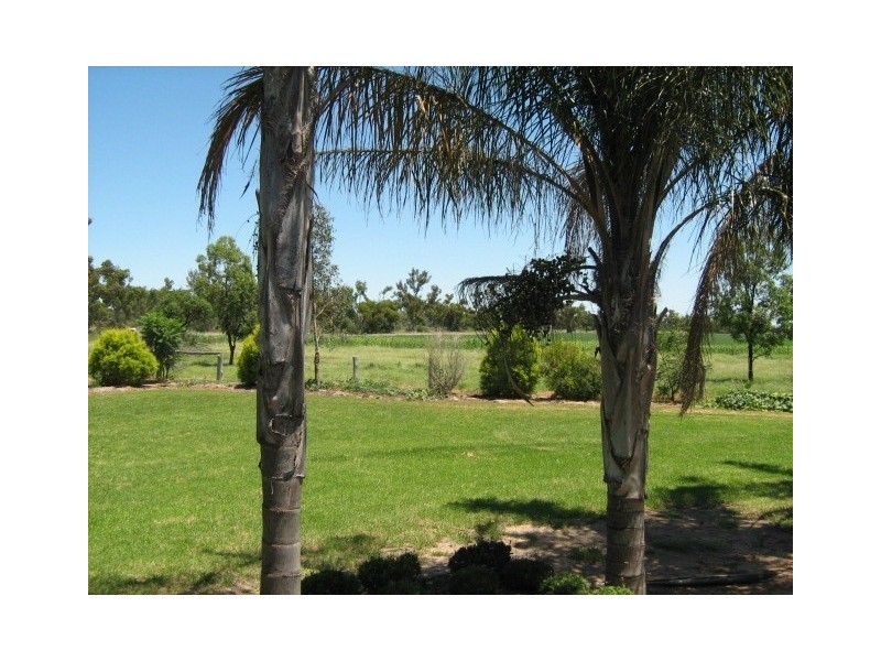 36 Locke Street, Ashley NSW 2400