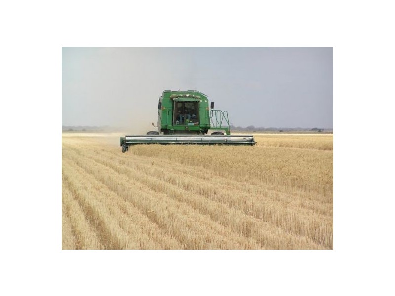 “WIRRA”, Moree NSW 2400