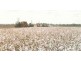 “WIRRA”, Moree NSW 2400