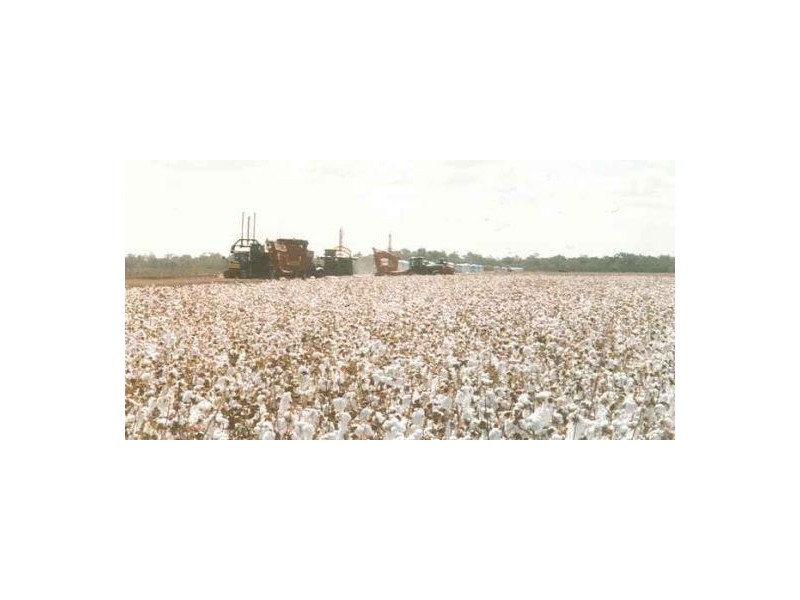 “WIRRA”, Moree NSW 2400