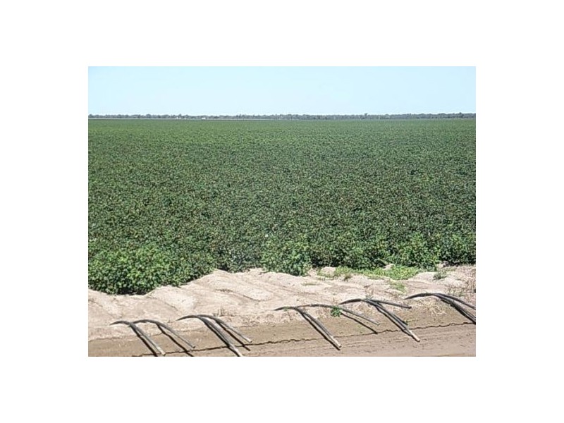 BARWON RIVER AGGREGATION, Walgett NSW 2832