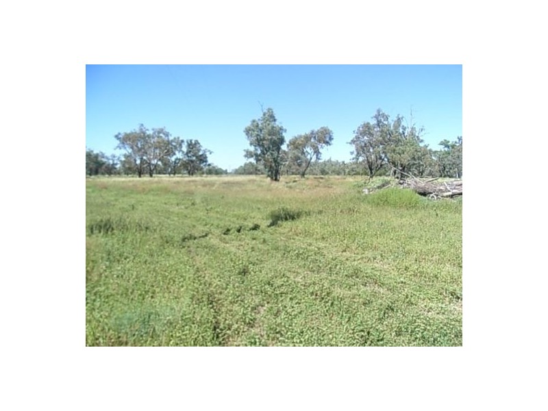 BARWON RIVER AGGREGATION, Walgett NSW 2832