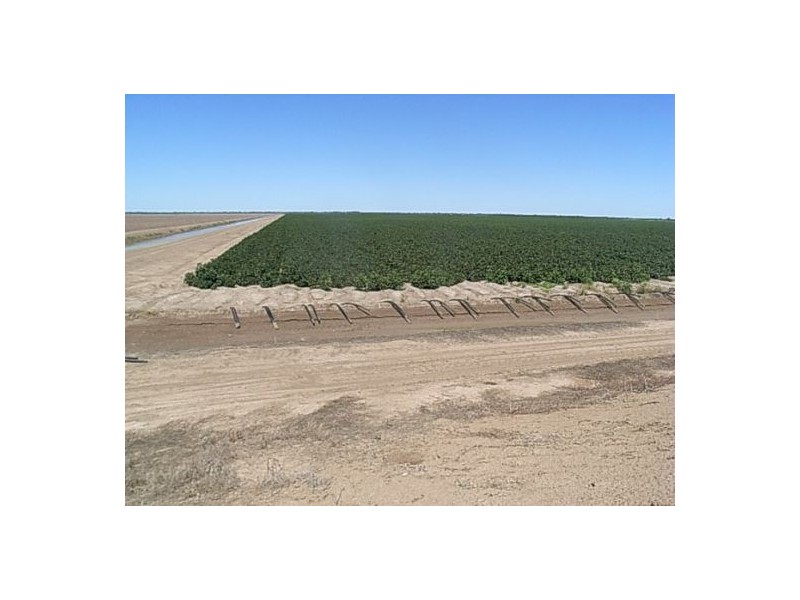 BARWON RIVER AGGREGATION, Walgett NSW 2832