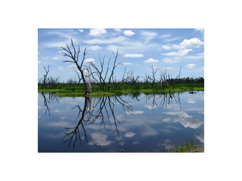 KIRKBY FAMILY AGGREGATION, Moree NSW 2400