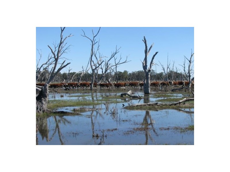 KIRKBY FAMILY AGGREGATION, Moree NSW 2400