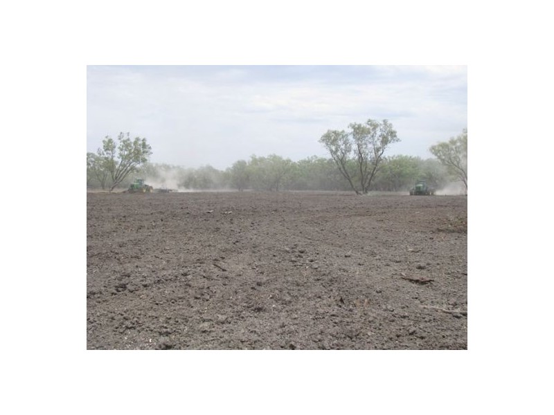 KIRKBY FAMILY AGGREGATION, Moree NSW 2400