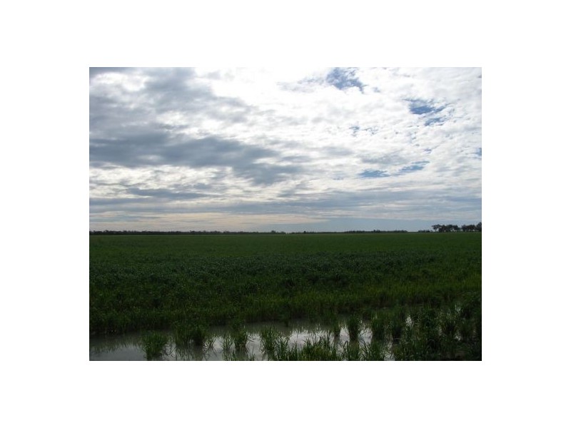 KIRKBY FAMILY AGGREGATION, Moree NSW 2400