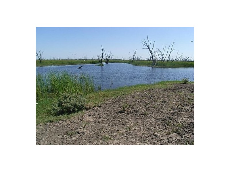 KIRKBY FAMILY AGGREGATION, Moree NSW 2400