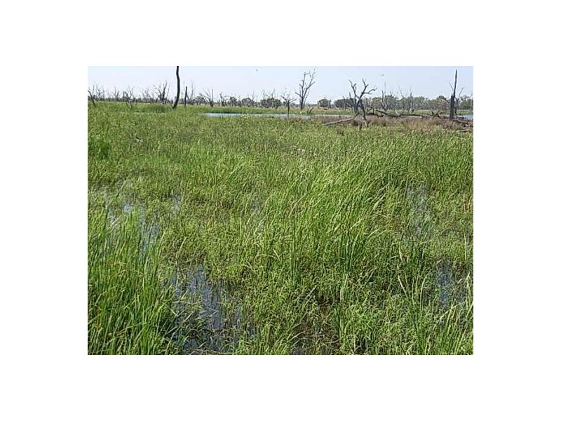 KIRKBY FAMILY AGGREGATION, Moree NSW 2400