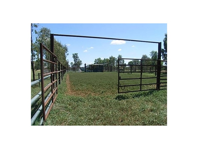 KIRKBY FAMILY AGGREGATION, Moree NSW 2400