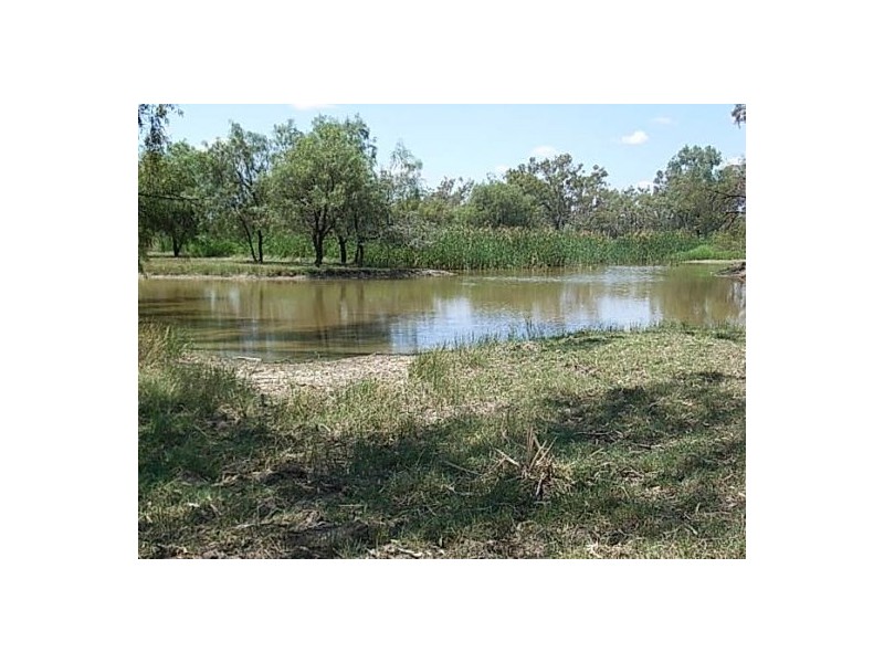 KIRKBY FAMILY AGGREGATION, Moree NSW 2400