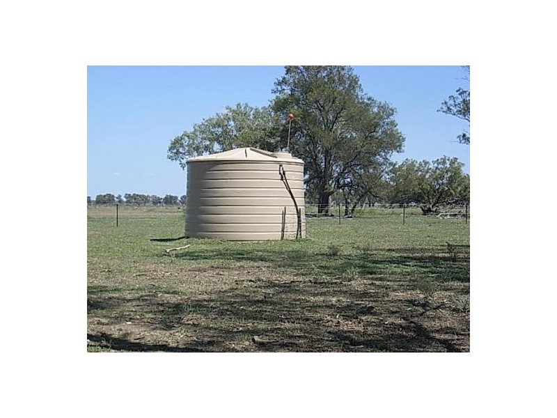 KIRKBY FAMILY AGGREGATION, Moree NSW 2400