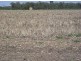 KIRKBY FAMILY AGGREGATION, Moree NSW 2400