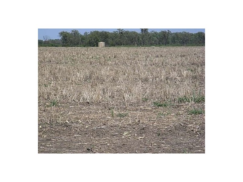 KIRKBY FAMILY AGGREGATION, Moree NSW 2400