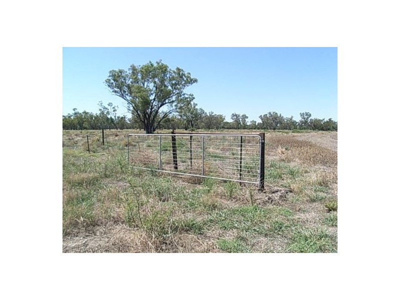 KIRKBY FAMILY AGGREGATION, Moree NSW 2400