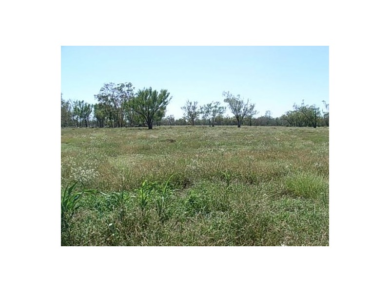 KIRKBY FAMILY AGGREGATION, Moree NSW 2400