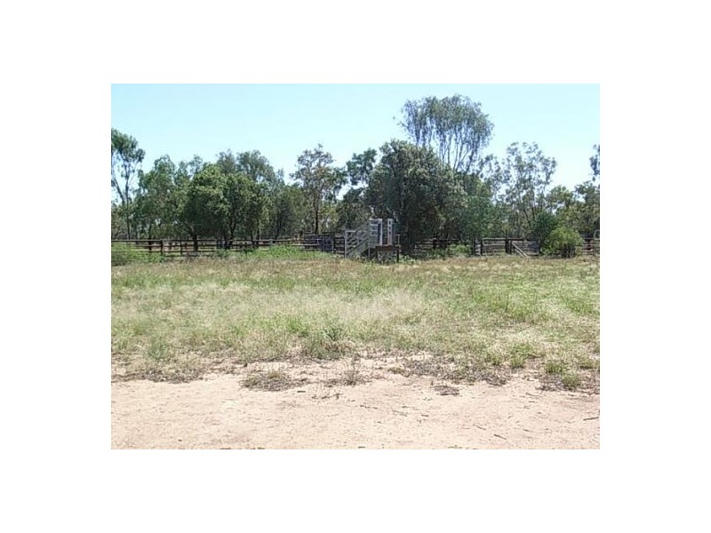 KIRKBY FAMILY AGGREGATION, Moree NSW 2400