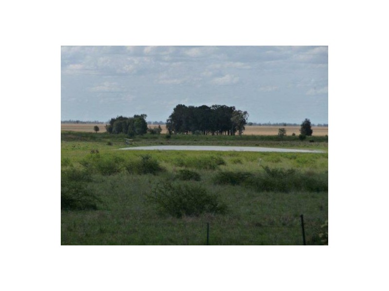 “JACARANDA” STRATHMORE ROAD, Moree NSW 2400