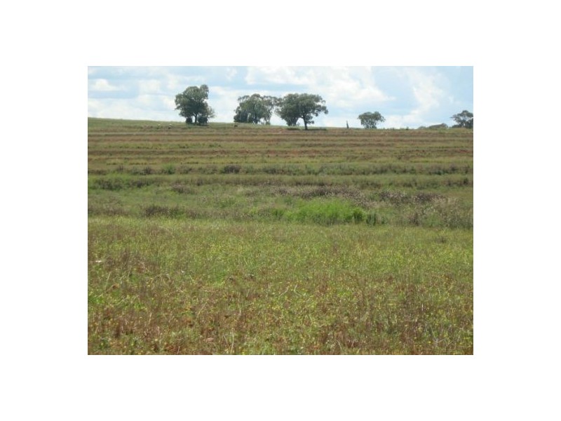 “River Glen”, Warialda NSW 2402