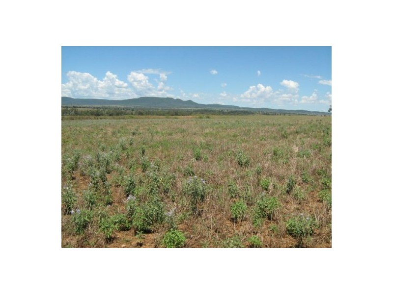 “River Glen”, Warialda NSW 2402