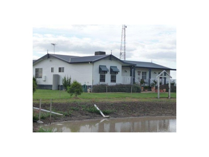 JECUZI TARRAWINGEE ROAD, Moree NSW 2400