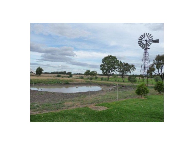 JECUZI TARRAWINGEE ROAD, Moree NSW 2400