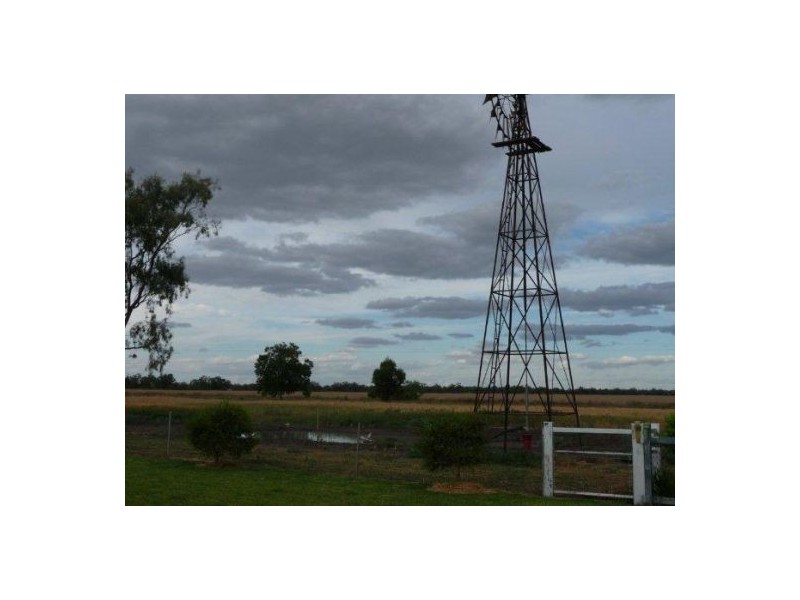 JECUZI TARRAWINGEE ROAD, Moree NSW 2400