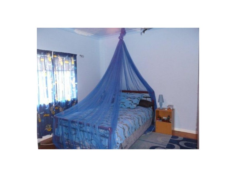 56 PARAMELLOWA STREET, Pallamallawa NSW 2399