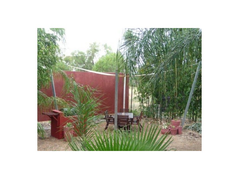 56 PARAMELLOWA STREET, Pallamallawa NSW 2399