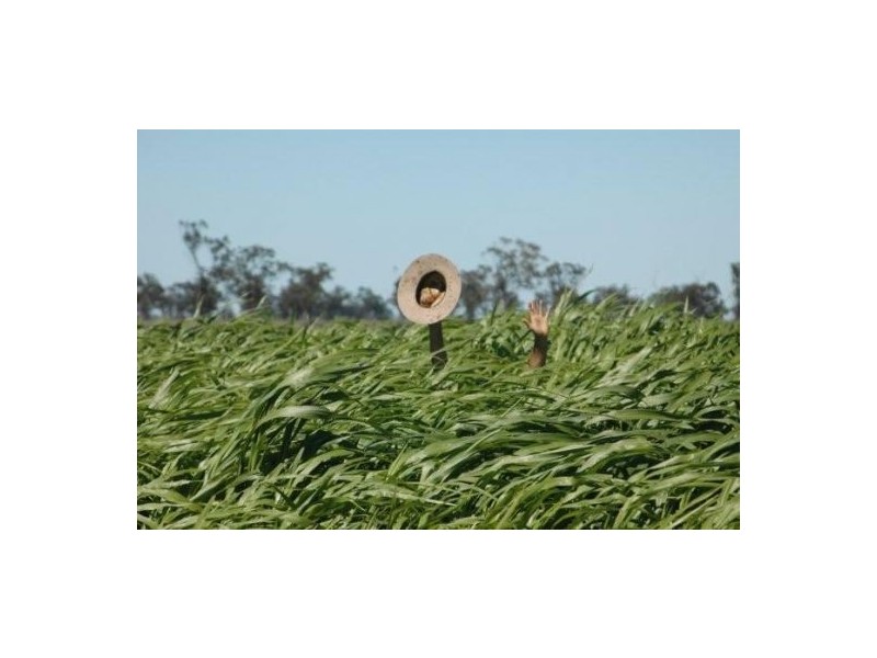 “RAYMHOR” GWYDIR HIGHWAY, Moree NSW 2400