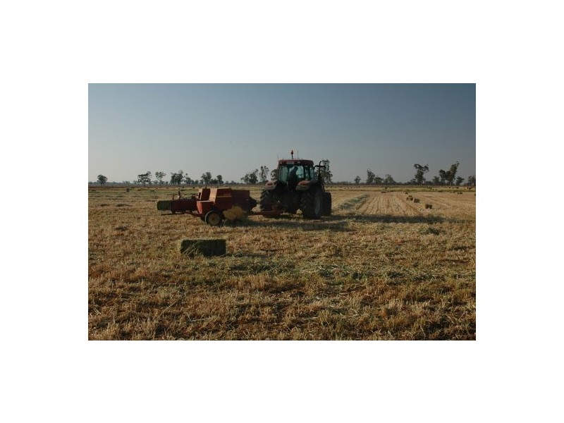 “RAYMHOR” GWYDIR HIGHWAY, Moree NSW 2400