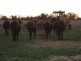 “RAYMHOR” GWYDIR HIGHWAY, Moree NSW 2400