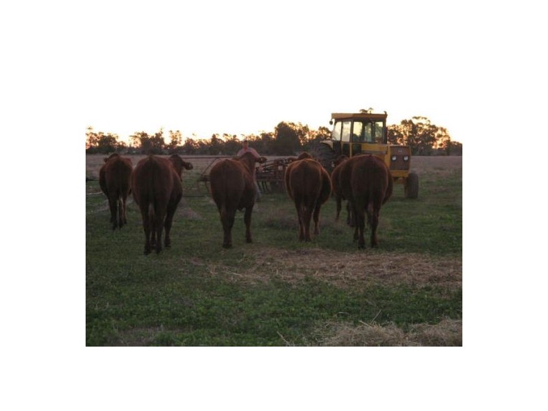 “RAYMHOR” GWYDIR HIGHWAY, Moree NSW 2400