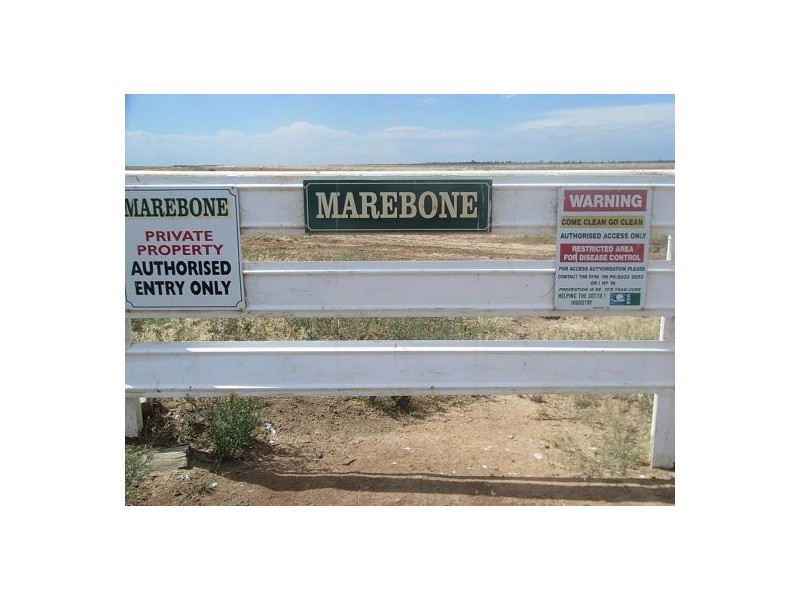 “Marebone”, Warren NSW 2824