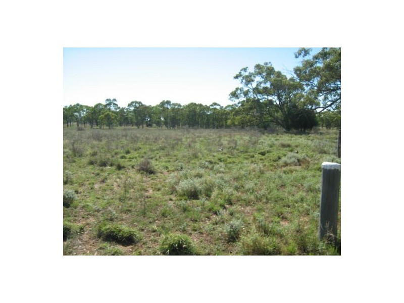 “Woolaringa” Terry Hie Hie Road, Moree NSW 2400