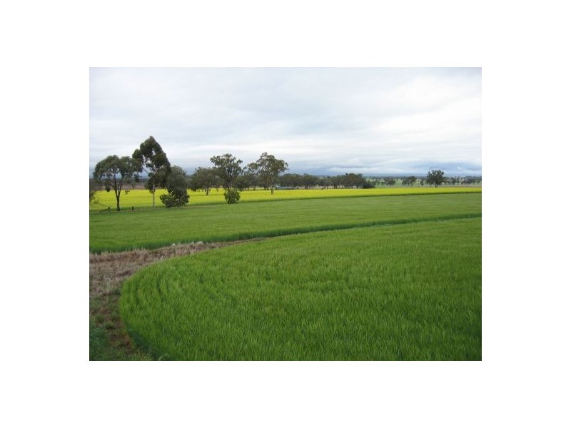 Bella, Delungra NSW 2403