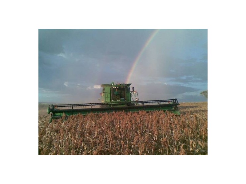 Bella, Delungra NSW 2403