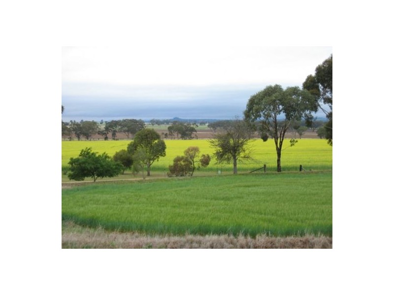 Bella, Delungra NSW 2403