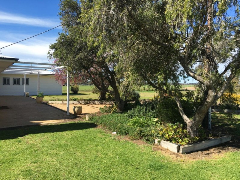 Bella, Delungra NSW 2403