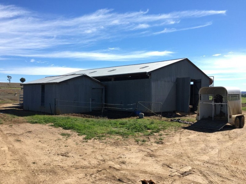 Bella, Delungra NSW 2403